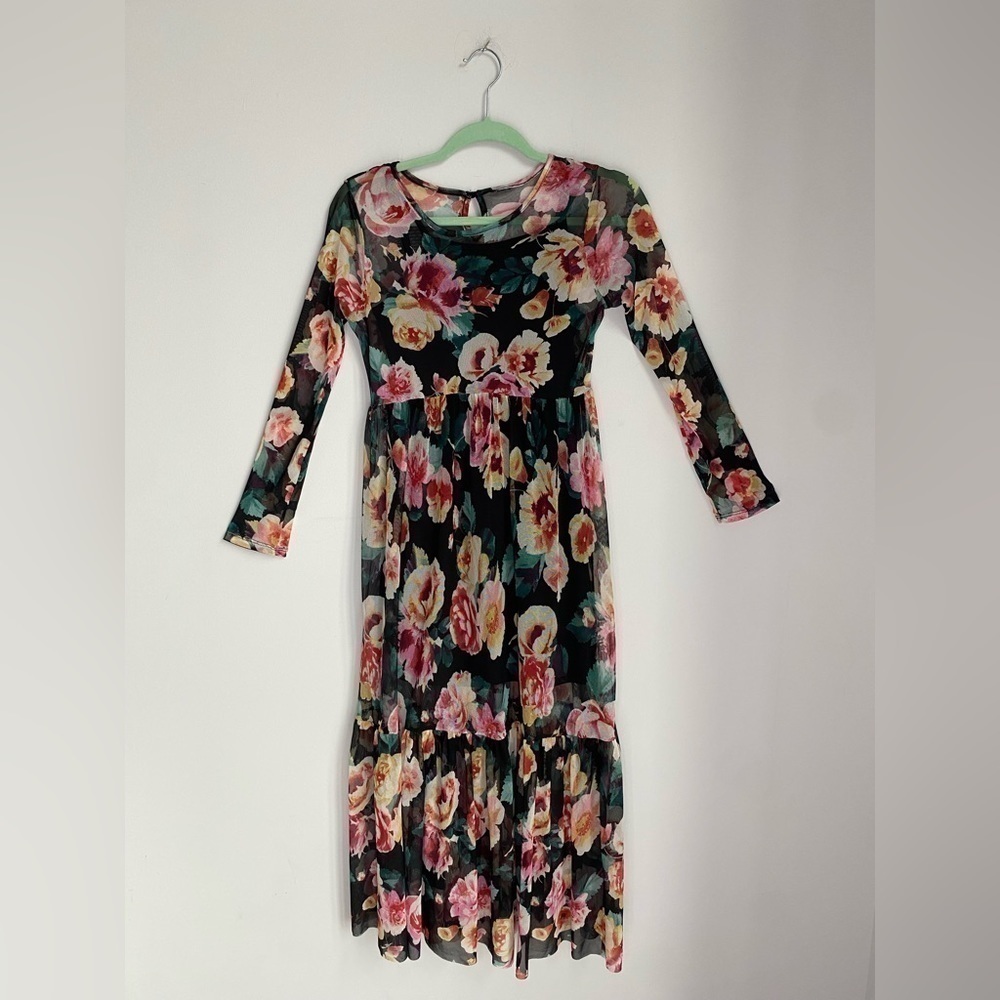 Floral Mesh Partially Lined Long Sleeve Dress